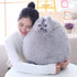 20 Inches) Winsterch Kids Large Cat Stuffed Animal Toys Gift Big Plush Cat Animal Baby Doll, Fat Gray Plush Cat Toy