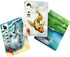 Meadow Downstream Board Game Expansion - Fun Family Strategy Adventure Game for Kids & Adults, Ages 10+, 1-4 Players