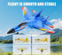 Foam Remote Control Airplanes,RC Plane Fighter Jet,Hobby Toys Plane Gifts for Teen Men
