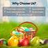 72 Pack 5.75" Fun Express Easter Baskets Bulk - Colorful Plastic Easter Egg Hunt Baskets for Kids Classroom Church