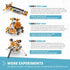 Engino STEM Toys, Astronomy - Travelling to Space, Fun Educational Toys for Kids 9+