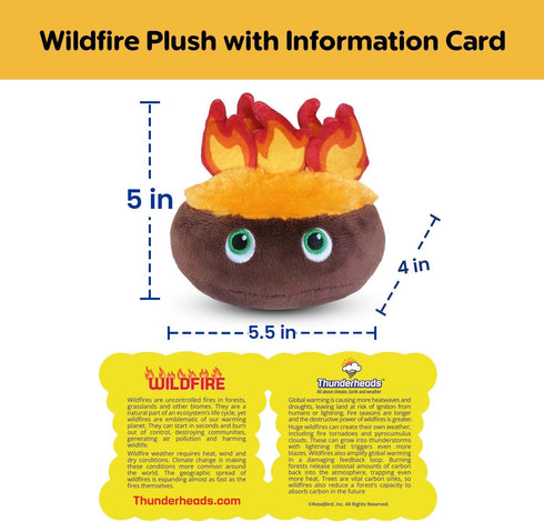 Thunderheads Wildfire Plushie, STEM Tool for Exploring Climate, Natural Disasters & Earth Science, Eco-Conscious