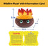 Thunderheads Wildfire Plushie, STEM Tool for Exploring Climate, Natural Disasters & Earth Science, Eco-Conscious