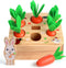 SKYFIELD Carrot Harvest Game Wooden Toy for Baby Boys and Girls 1-3, Educational Shape Sorting Matching Puzzle Gift Toy