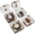 Set, 3-8-12 Insect Specimen Bugs Collection Scientific Education Gift for Kids Aged (Millipede, Centipede, Dragonfly
