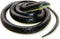Realistic Fake Rubber Snake Toys, Black Cobra, 49 Inch Long Prank Stuff