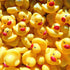 DZTIAN 51-Pieces Float & Squeak Mini Rubber Duck Baby Bath Ducky Sound ShowerToys for Kids Celebrate The Joy of The