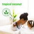3-in-1 32 (Pack 6) Everyone Kids Soap, Body Wash, Bubble Bath, Shampoo, Ounce of Tropical Coconut, made with Essential