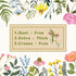Vintage Wildflowers Puzzle 1000 Pieces for Adult, Botany Plant Flower Puzzle of North America