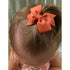 Hair Clips for Girls, 80PCS Fully Lined Tiny Alligator Bows in Pairs for Infants and Toddlers