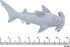 Pack 2 14 inch 13 inch Hammerhead Bedwina Stuffed Animal Sharks - of Large, Mako & Plush Shark Toys, Stuff Animals Toy