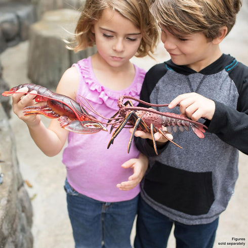 8" 3+ Safari Ltd. Maine Lobster Figurine - Realistic Crustacean Figure - Educational Toy for Boys, Girls, and Kids Ages