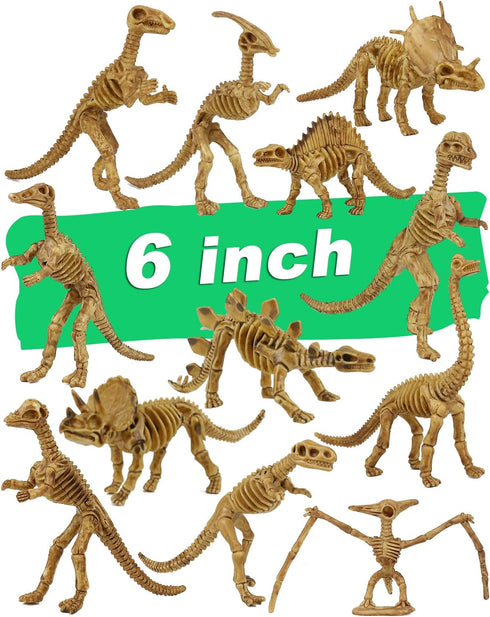 6 Inch Dinosaur Fossil Skeleton for Kids 3-10+, Dino Bones for Science Play, Educational Gift for Kids