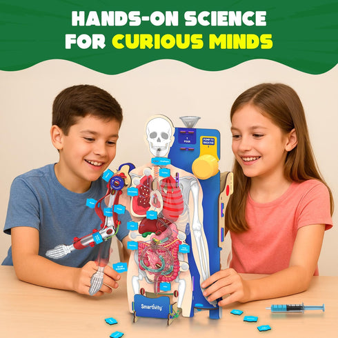 8-14 8,9,10,11,12,13,14 Smartivity Interactive Human Body Model for Kids Years I Dynamic Body Parts & Organs + Learning