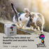 About Cats Fun Trivia Game for Cat Lovers - Cat Themed Game for All Ages with 150 Cat Trivia Cards