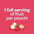Pack, 3.5 oz (18 Pack) Beech-Nut Baby Food Pouches Variety Berry Blends Fruit Purees