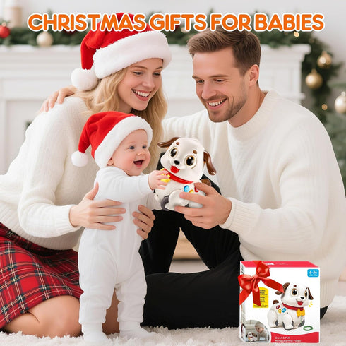 1 6 7 8 9 10 12 18 1st 6-12-18 LUDILO Learning Toys for Year Old Boy Girl Gifts: Pull Along Crawling Toy Musical Puppy