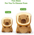 Ditucu Cute Capybara Plush Pillow, Wearable Toast Headgear Stuffed Animals Gifts for Kids 13.7 inch