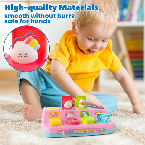 Tovol Zerky 1-3 9 12 18 Montessori Pop Up Cause and Effect Baby Toy for Years Old, Interactive Developmental Toy