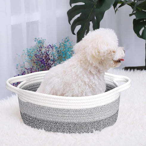 ABenkle Small Woven Basket, 12"x 8"x 5", Cute Storage Basket for Cat Dog Toys, Decorative Gift Basket with Handles