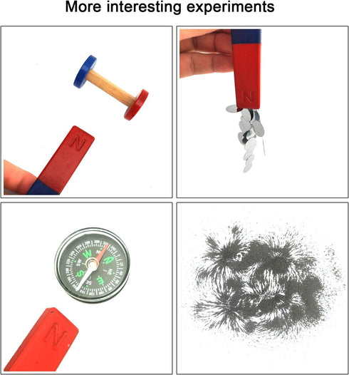EUDAX Physics Science Magnets Kit for Education, Includes Bar/Ring/Horseshoe/Compass Magnets