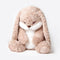 ZEIO Grumpy Bunny Stuffed Animal, 15.7" Plush Rabbit Stuffed Animals with Floppy