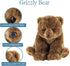 12 inches The Petting Zoo Grizzly Bear Stuffed Animal Plushie, Gifts for Kids, Wild Onez Animals, Bear Plush Toy