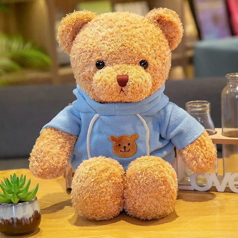 11.8 inches Teddy Bear Stuffed Animals - Soft Plush Cute Teddy Bear with Hoodie Doll for Boys Girls (Blue)