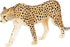 MOJO Cheetah (Male) Hand Painted Realistic Wildlife Toy Replica (387197)