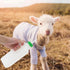 1 Set Lamb Feeding Bottle, Plastic Animal Milk Bottle for Sheep, Calf, Goat, Pet Feeding Container