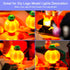 Upgraded LED Light Kit for LEGO Halloween Cat & Mouse Building Set, Compatible with LEGO 40570