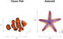 8pcs Playset UANDME Sea Animal Figures Realistic Ocean Animal Figurines Toy for Kids Cake Toppers Decoration