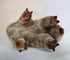 Lifelike Wombat Stuffed Animal - 15.75" Realistic Plush Wombat, Soft Simulation Toy for Kids, Baby Gift
