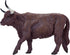MOJO Highland Cow, Realistic Farm Animal Toy Replica, Hand Painted Figurine