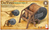 ACADEMY HOBBY MODEL KITS Academy Da Vinci Mechanical Drum