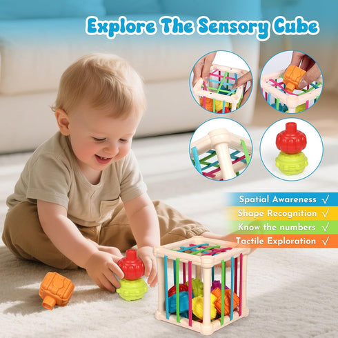 18-36 7-in-1 Set LearnToy Baby Toys Months, Montessori Activity - Stacking Blocks, Infant Teething Toy & Sensory Bin