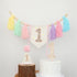 Daisy1st 1st JUIIZAY Baby First Birthday Party Decorations Macaron High Chair Banner Crown Cake Topper Birthday