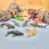 12 3+ Safari Ltd. Ocean TOOB - Mini Figurines: Sea Lion, Eagle Ray, Starfish, Turtle, Penguin, Octopus, Whales, Moray