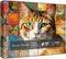 Cat Puzzles for Adults, 1000 Pieces, Funny Kitten Jigsaw Puzzles, Mosaic Meows Animal Puzzle