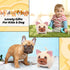 Pillow,8inch Dog Plush Cute Dog Stuffed Animal Toy,Soft Hugging Plush Pillow,French Bulldog Plushies Doll Toy for Kids