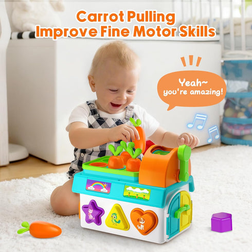1 1st 1-2 Musical SortingToys for Year Old Boy, First Birthday Boy Girl Gifts Presents, Montessori Educational Learning