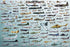 Die-Cut Jigsaw Puzzle: Evolution of Military Aircraft