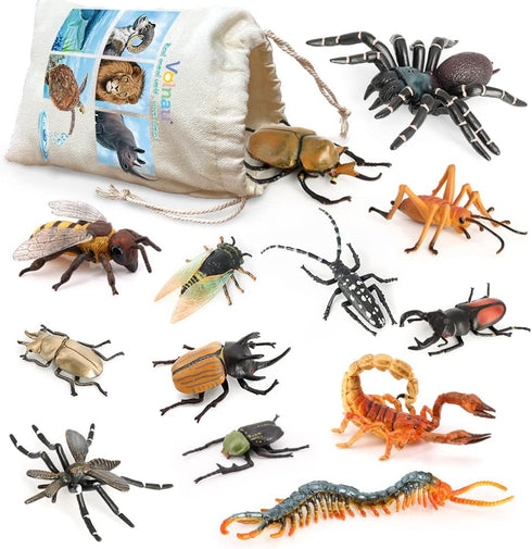Volnau Insect Toys Figurines 13PCS Bug Figure Pack for Kids Educational Decorations, Cicada Toy, Plastic Model