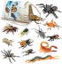 Volnau Insect Toys Figurines 13PCS Bug Figure Pack for Kids Educational Decorations, Cicada Toy, Plastic Model