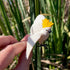 3.75" 3+ Safari Ltd. Cockatoo Figurine - Lifelike Plastic Bird Figure - Educational Toy for Boys, Girls, and Kids Ages