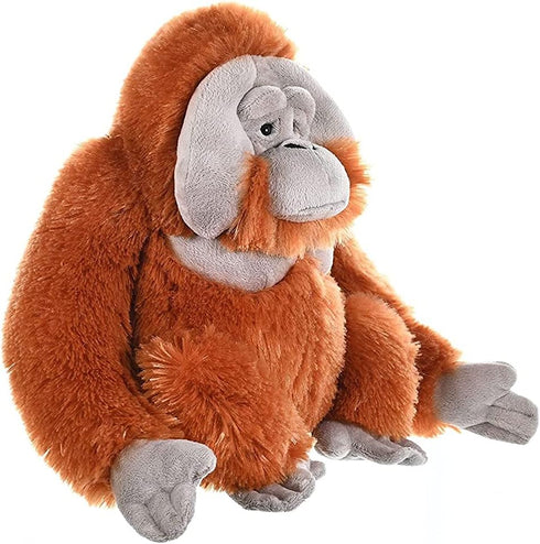 12 Inches Wild Republic Orangutan Plush, Stuffed Animal, Plush Toy, Gifts for Kids, Cuddlekins