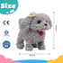 Cuteoy Walking Grey Dog Stuffed Animal, Talking Wagging Nodding Educational Plush Puppy Toy for Girls Boys
