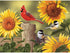 Bits and Pieces – 300 Large Piece Jigsaw Puzzle for Adults - ‘Sunflower and Songbirds’ by Artist William Vanderdasson – 300 Pc Jigsaw Puzzle - 18"x24"