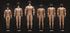 1/6 Scale Male Body - 12inch Male Soldier Flexible Strong Muscular High Action Figure Body Collection (23-BD003)