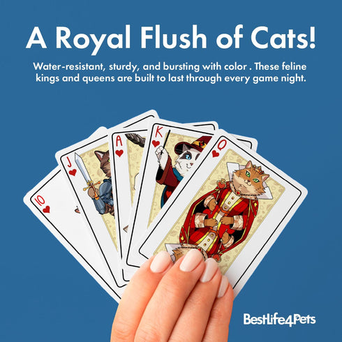 54 Cat Playing Cards Themed Deck for Adults - Collectible Card Games for Teens, Women and Men - Card Games For Adults